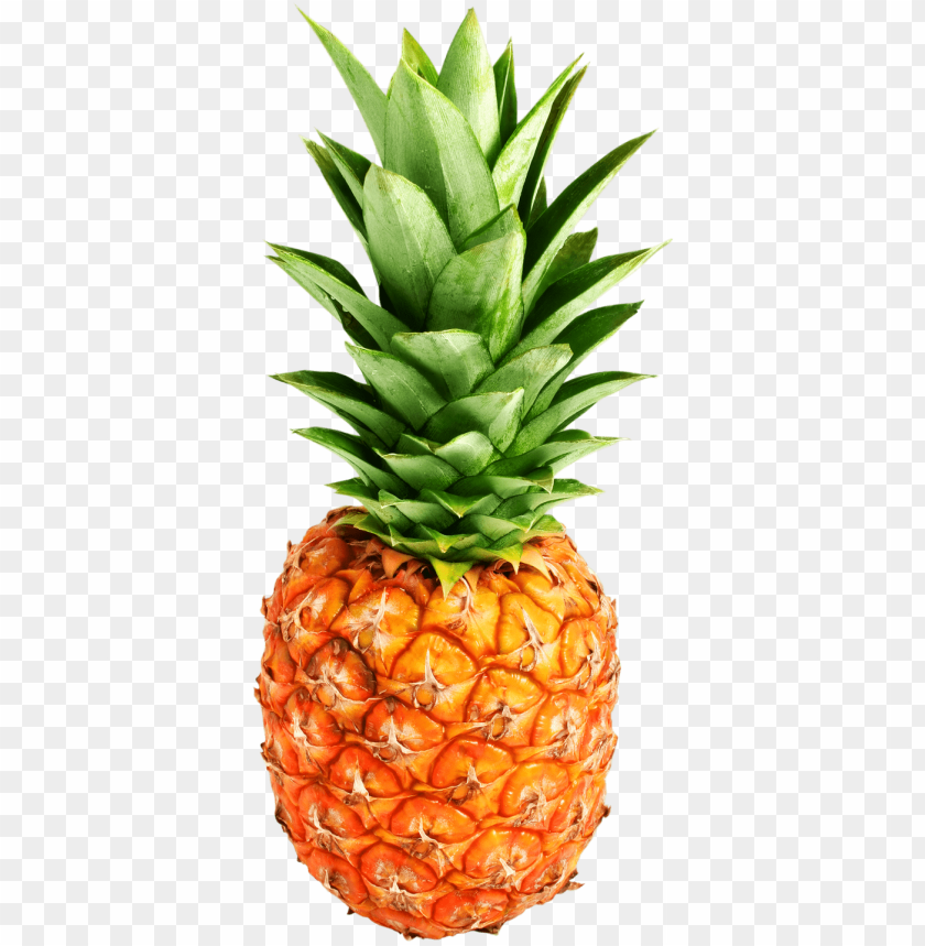 
pineapple
, 
ananas comosus
, 
coalesced berries
, 
pineapples
