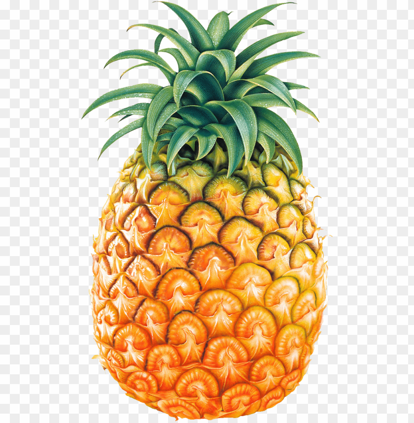 
pineapple
, 
ananas comosus
, 
coalesced berries
, 
pineapples
