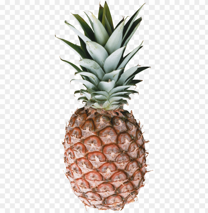 
pineapple
, 
ananas comosus
, 
coalesced berries
, 
pineapples
