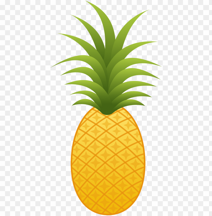 
pineapple
, 
ananas comosus
, 
coalesced berries
, 
pineapples
, 
clipart
