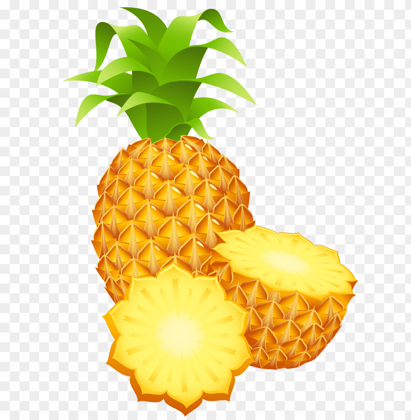 
pineapple
, 
ananas comosus
, 
coalesced berries
, 
pineapples
, 
clipart
