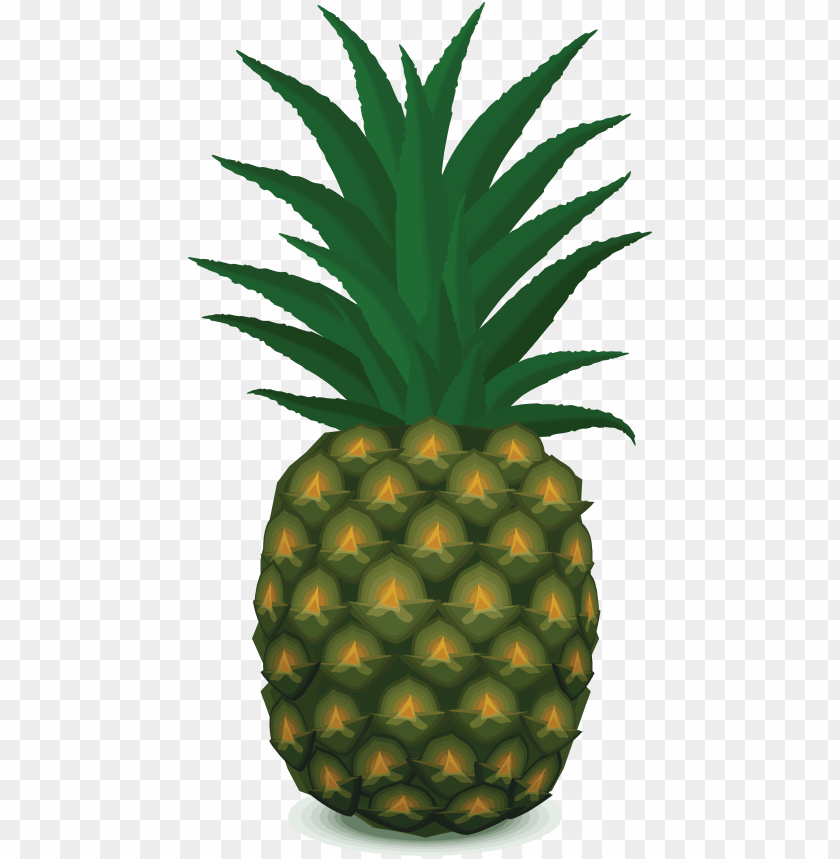 pineapple, tropical fruit, green leaves, healthy snack, sweet fruit, fresh produce, exotic fruit