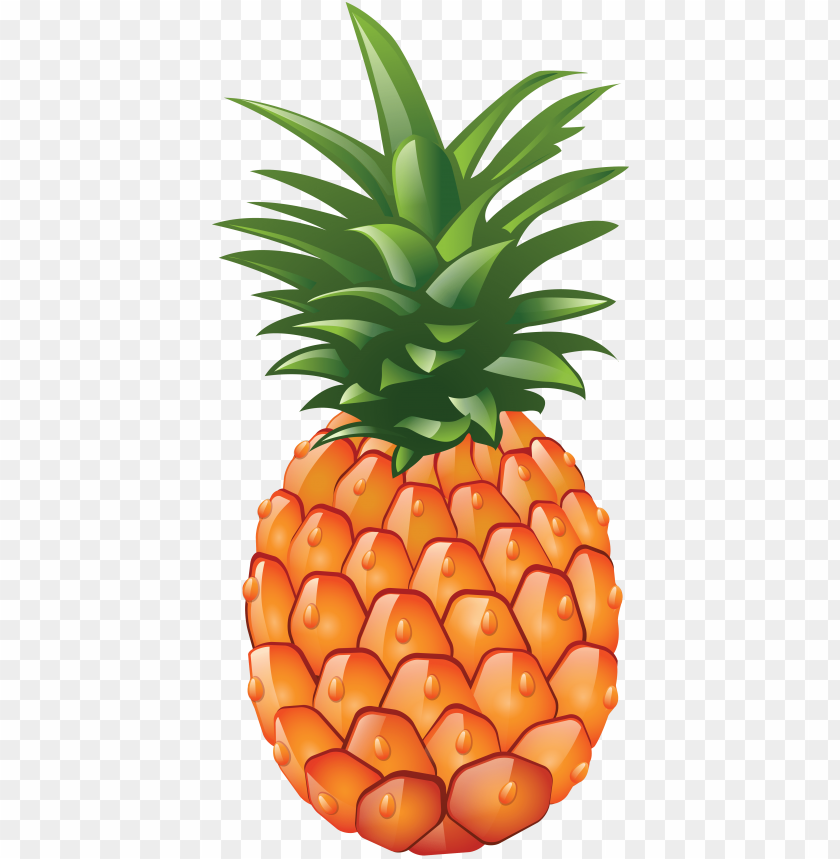 
pineapple
, 
ananas comosus
, 
coalesced berries
, 
pineapples
