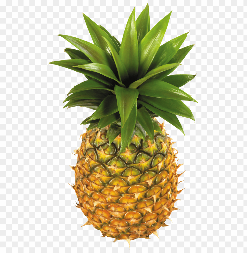 fruit, pineapple