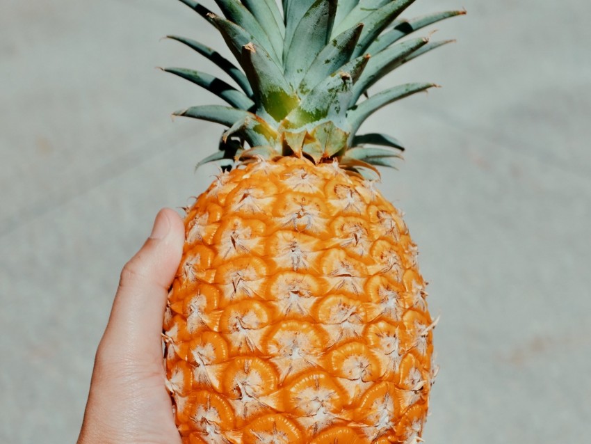 Pineapple Fruit Hand Tropical Background