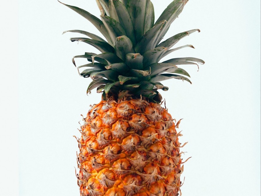 Pineapple Fruit Tropical Minimalism Background