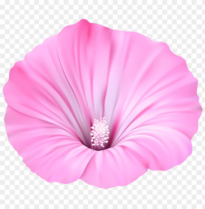 pink flower