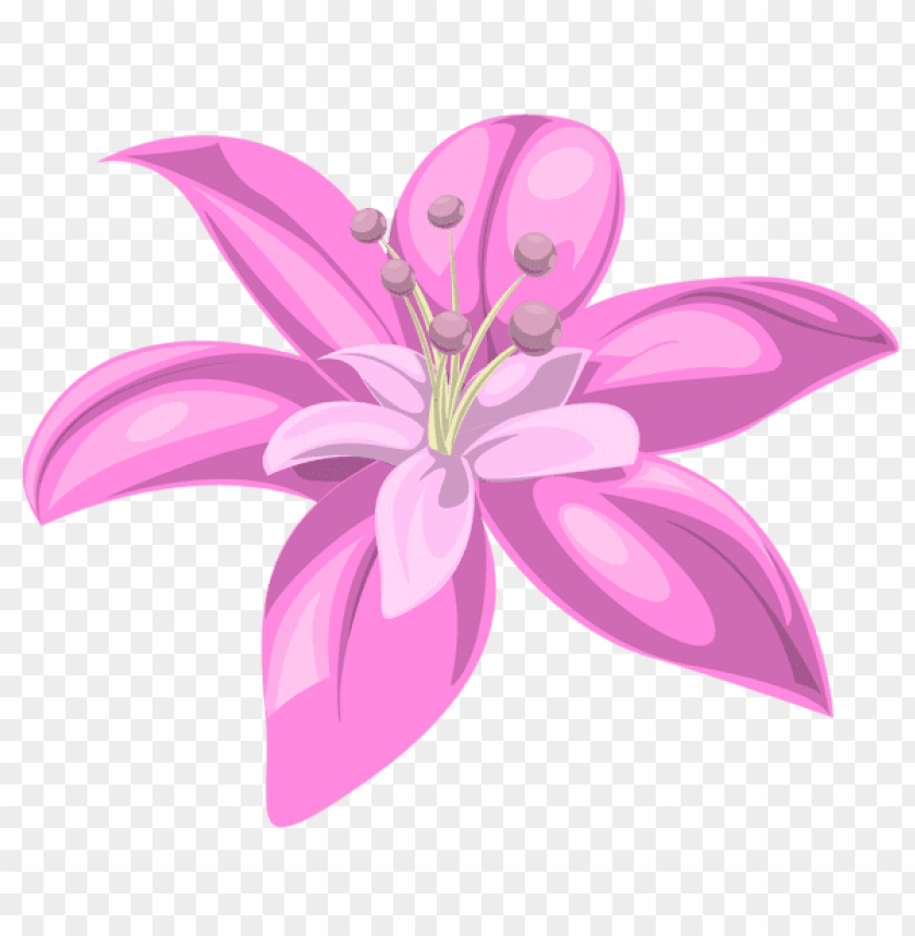 pink flower