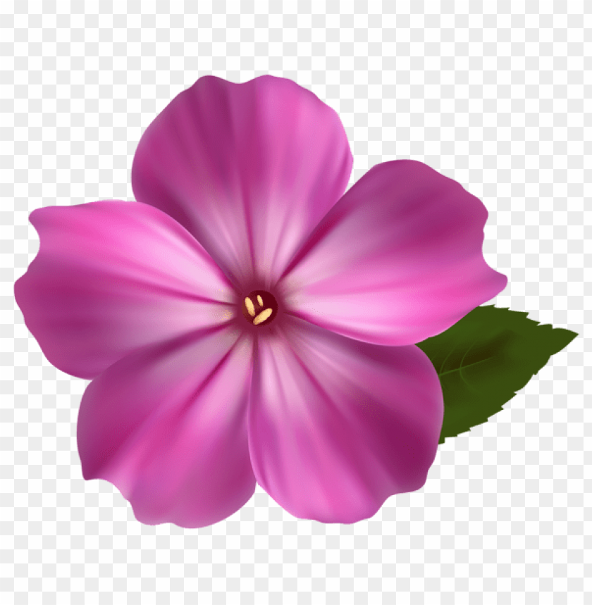 pink flower