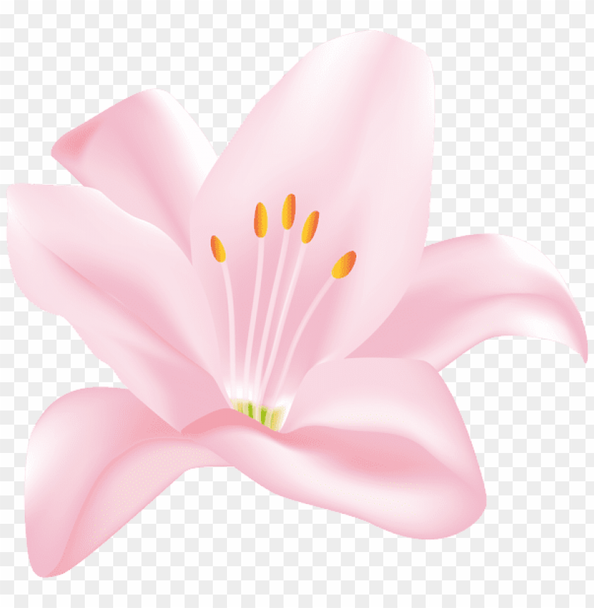 pink flower