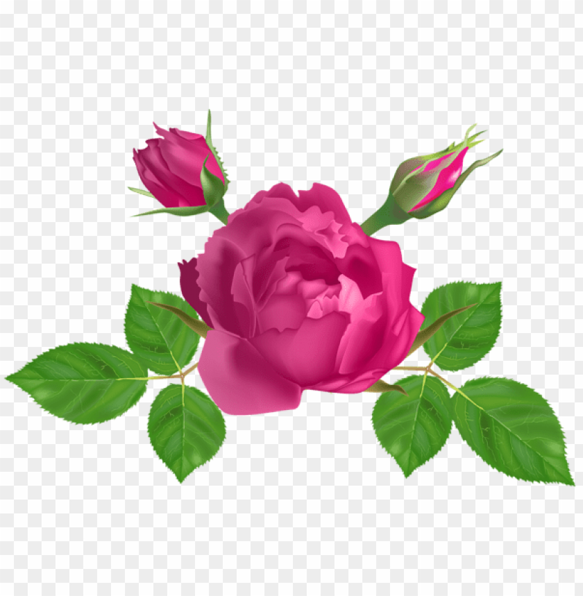 pink rose deco