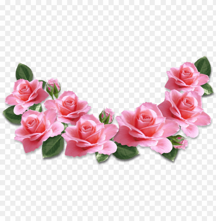 pink roses decoration