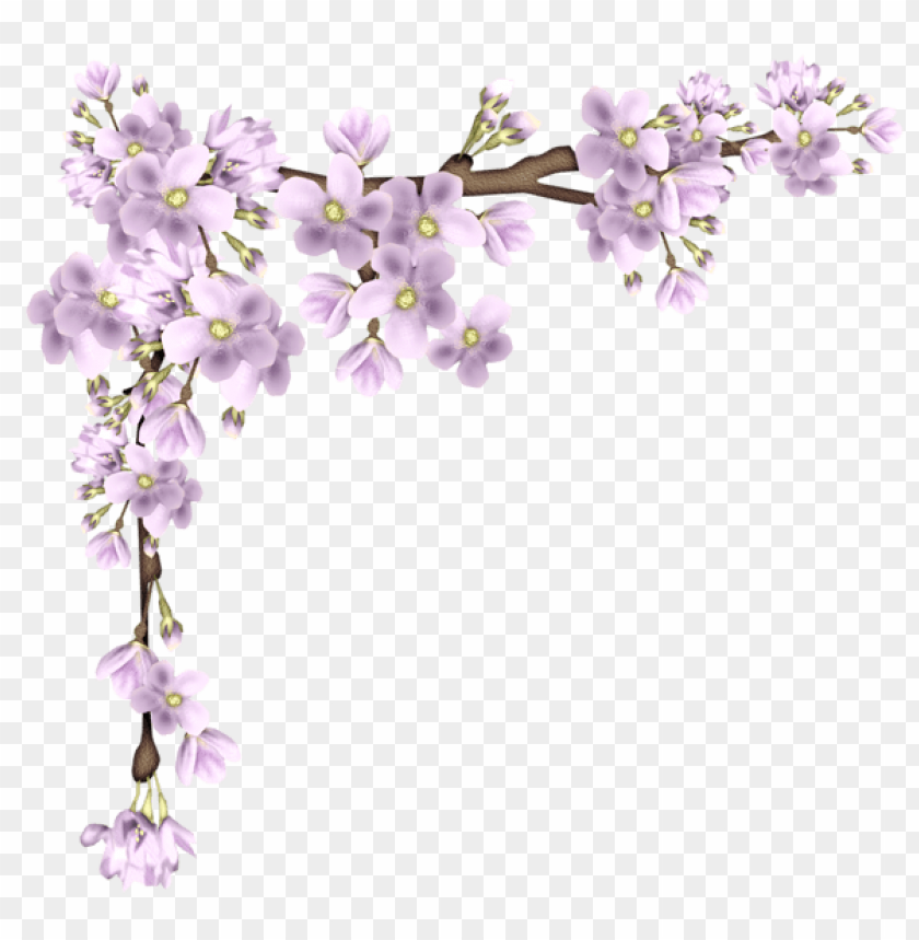 spring png