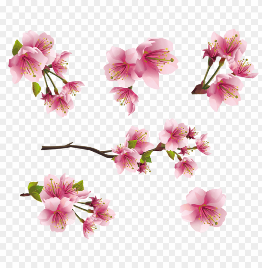 spring png