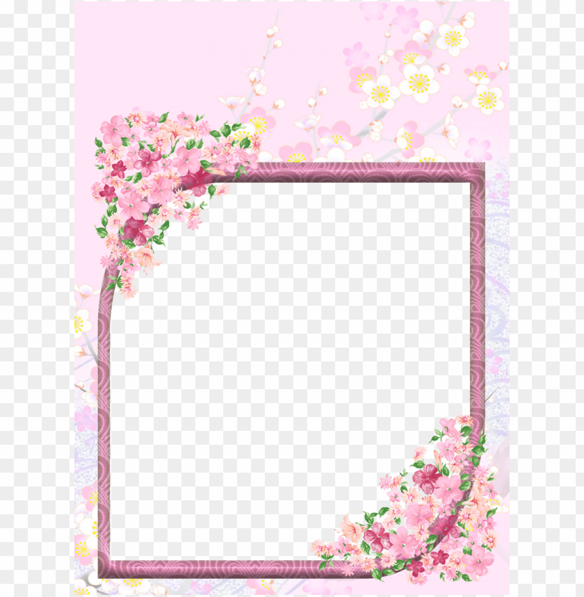 frame