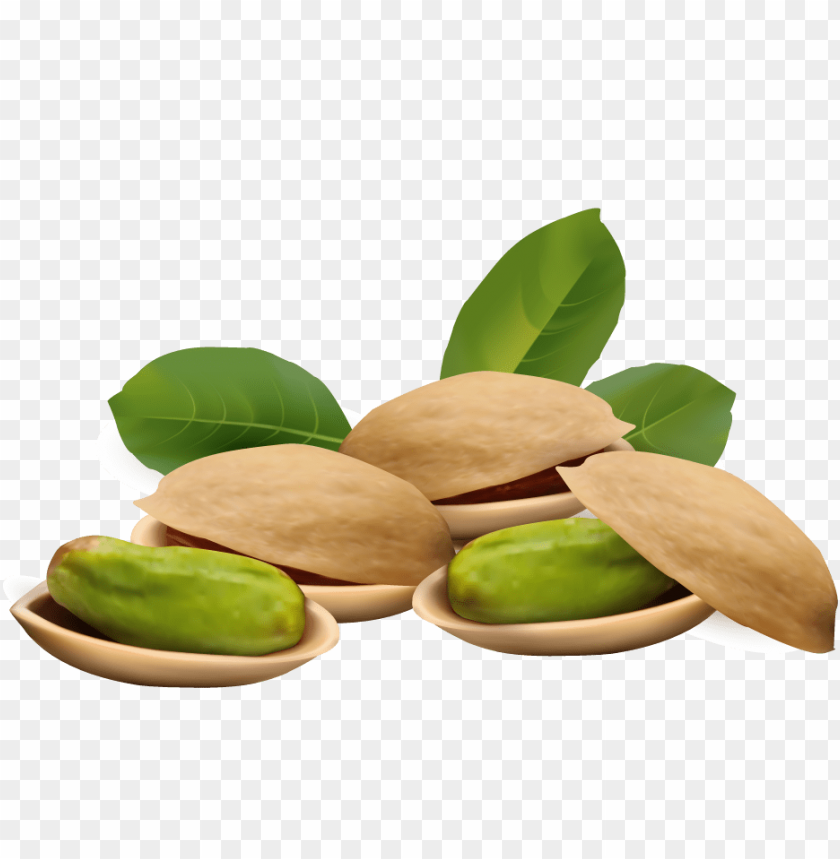 
pistachios
, 
central asia
, 
genus pistacia
, 
soft shell.
