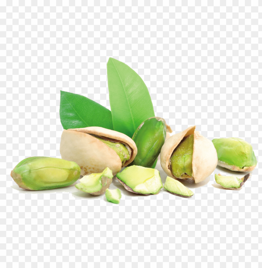 
pistachios
, 
central asia
, 
genus pistacia
, 
soft shell.
