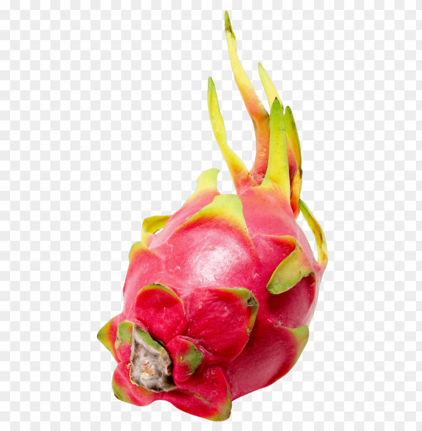 fruits, dragon fruit, pitaya, pitahaya