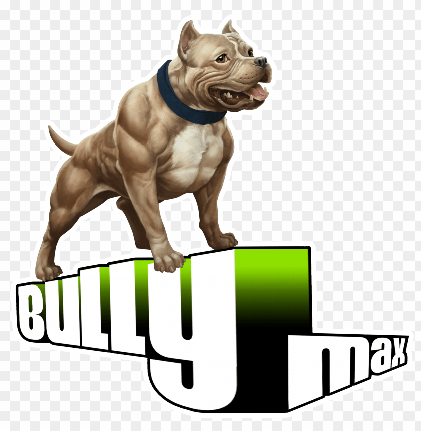 pitbull png, pitbul,png,pitbull