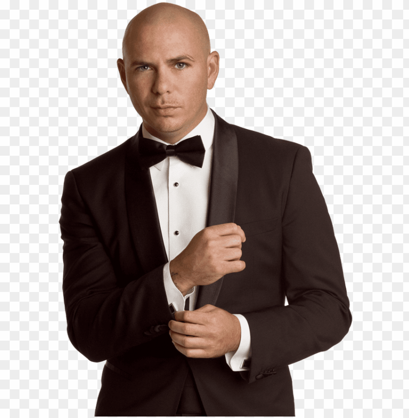 pitbull png, pitbul,png,pitbull