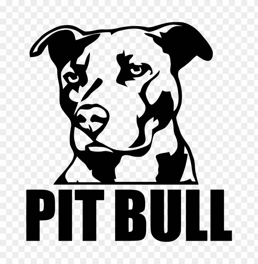 pitbull png, pitbul,png,pitbull