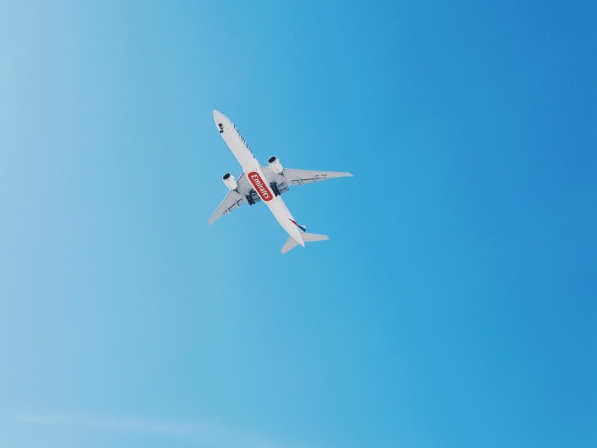 plane, flight, palm trees, sky, tropics