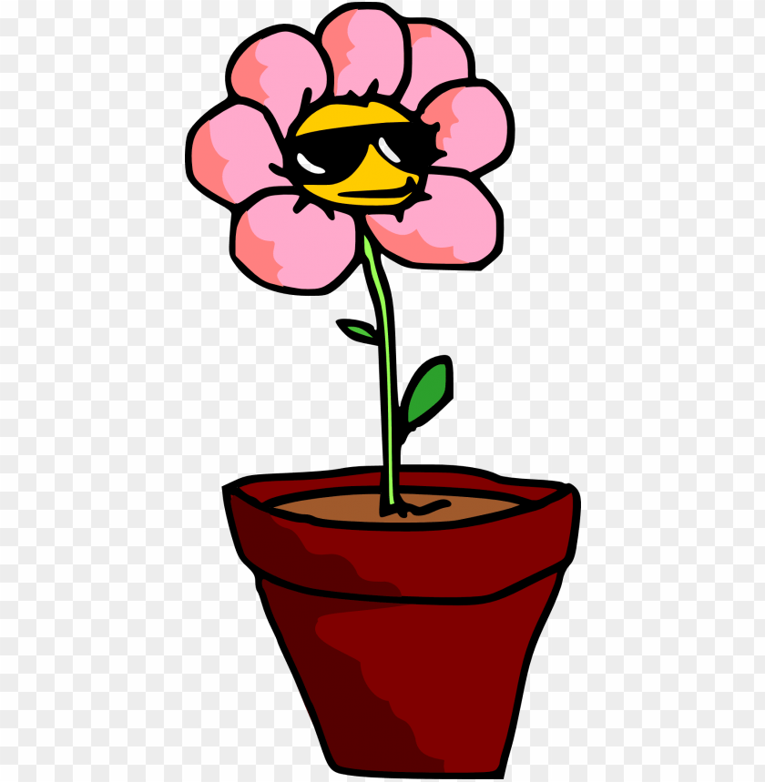 plants vs zombies, flower plants, jungle plants, tropical plants, flowers tumblr, potted plant