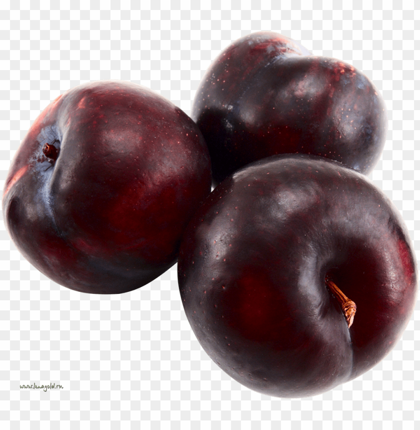 
plum
, 
genus prunus
, 
peaches
, 
cherries
, 
bird cherries
