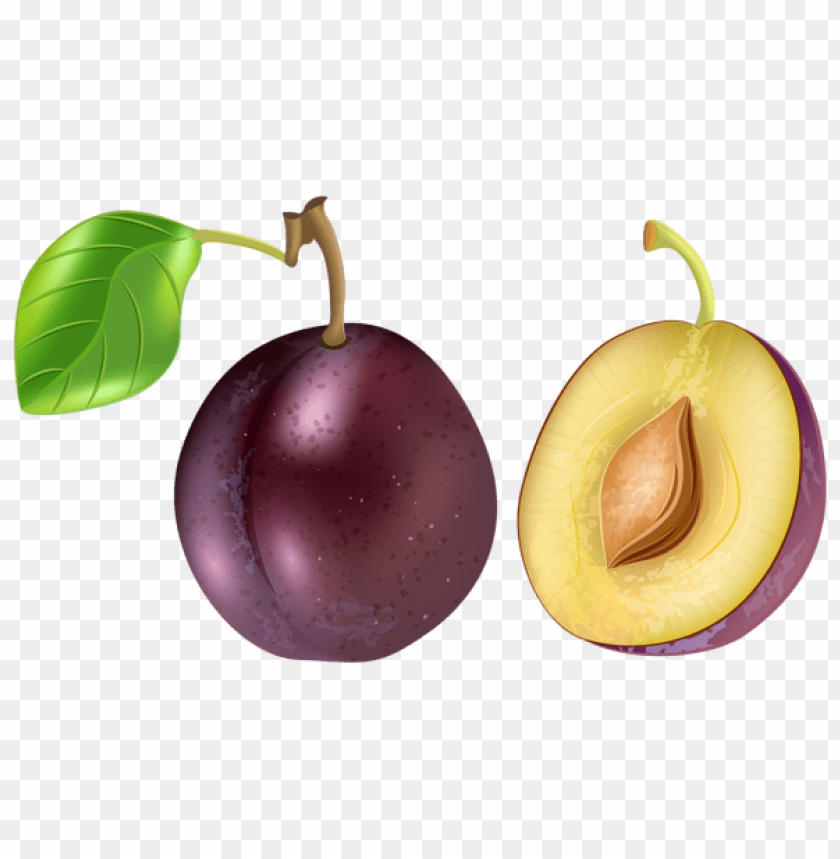 fruit