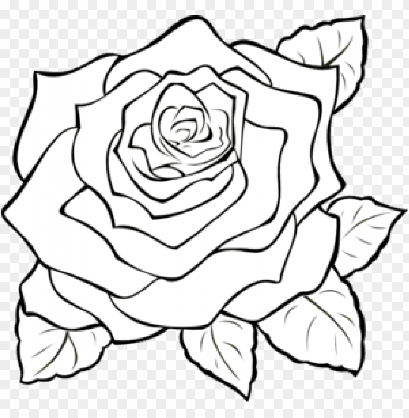 big(png),png: small Â· medium Â· large,uncoloured rose clip art,flower outline tattoos | rose outline tattoo stencil line art design | justfree,outline rose clip art,outline of rose flower,rose clipart