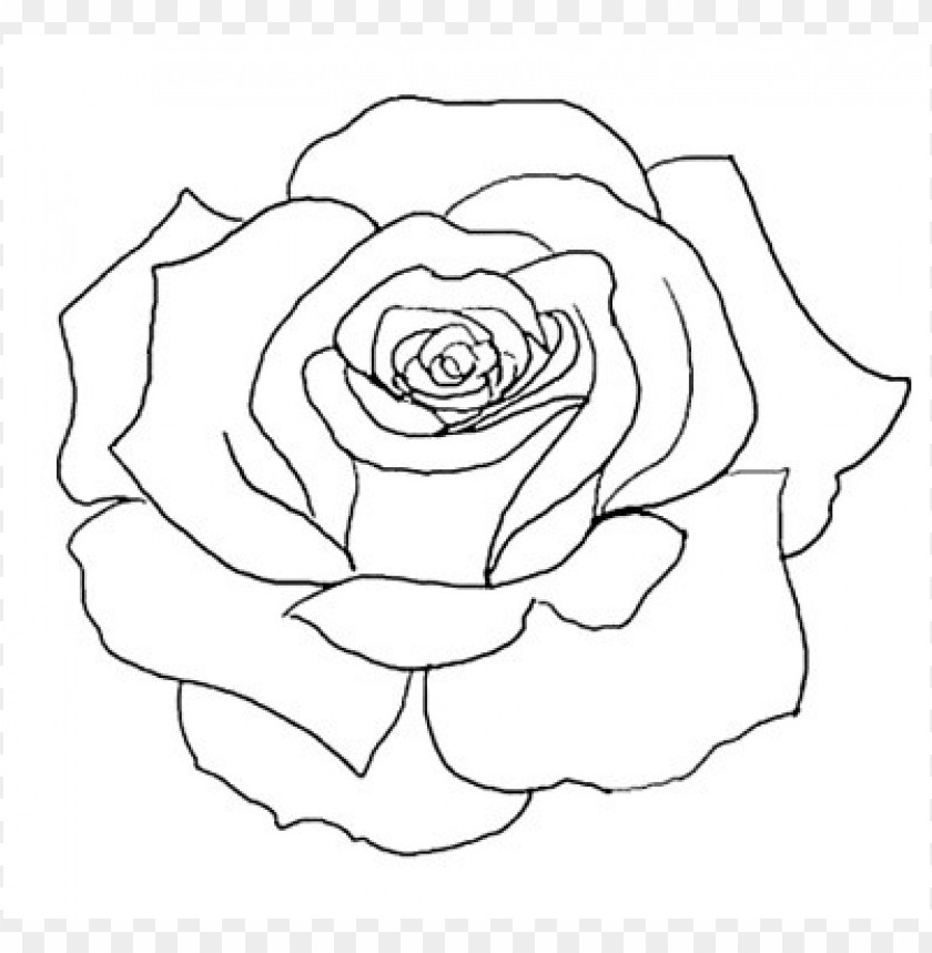 big(png),png: small Â· medium Â· large,uncoloured rose clip art,flower outline tattoos | rose outline tattoo stencil line art design | justfree,outline rose clip art,outline of rose flower,rose clipart