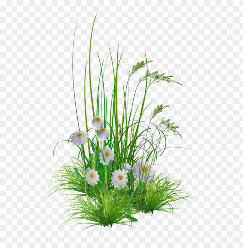 png transparent flowers, transpar,flowers,flower,transparent,png