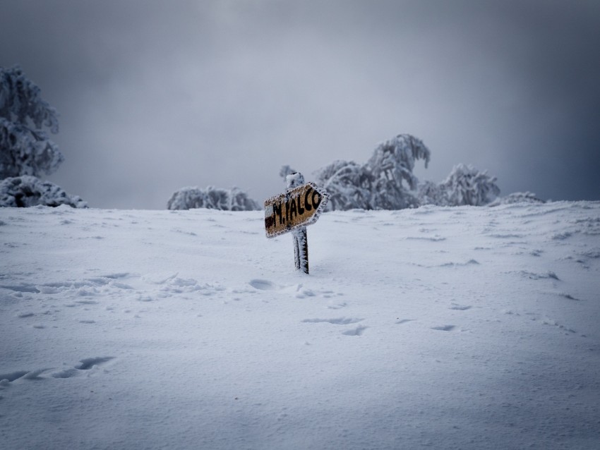 Pointer Snow Drifts Winter Background