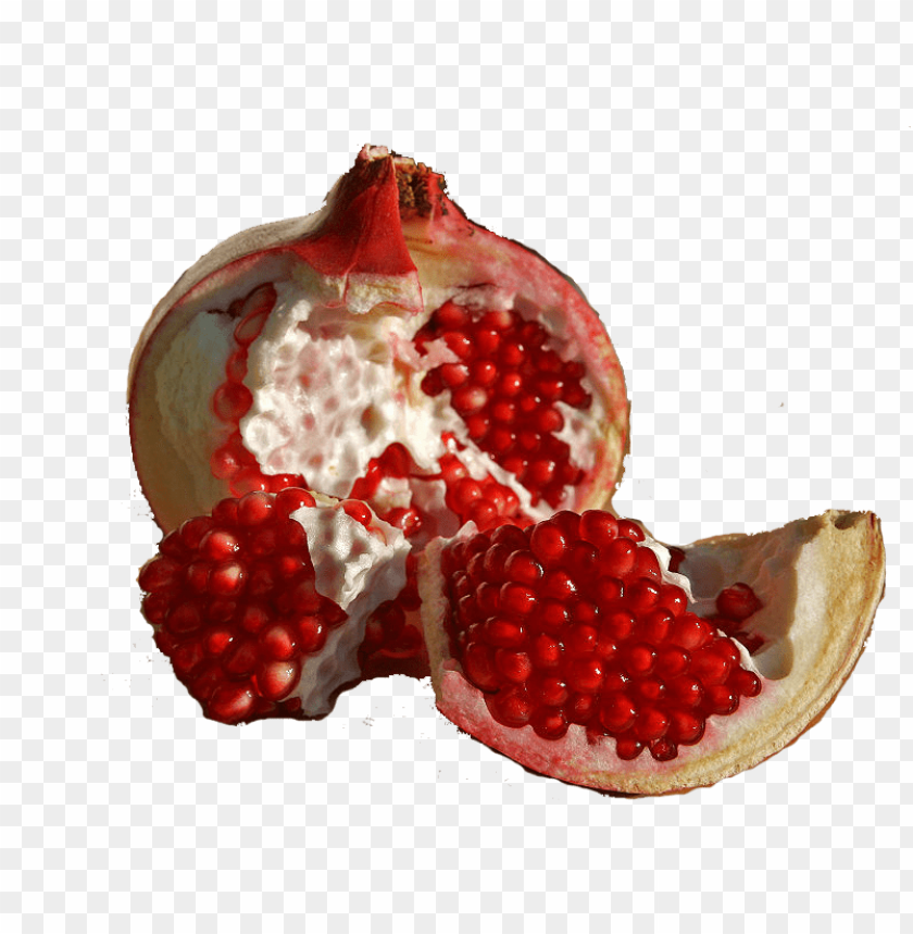 
pomegranate
, 
punica granatum
, 
fruit-bearing
, 
shrub
