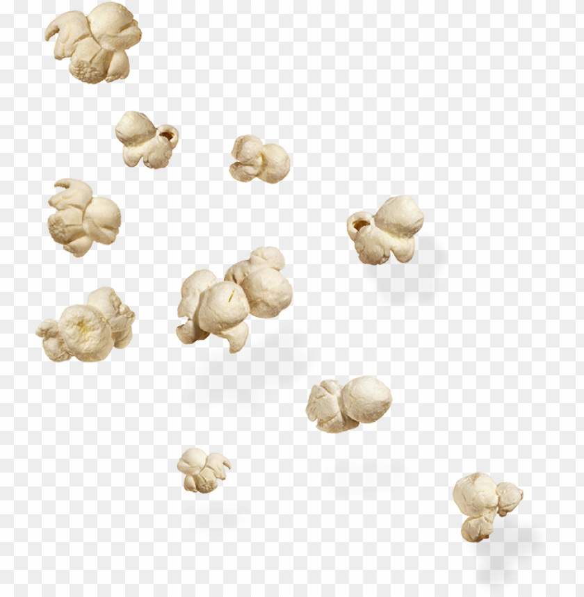 popcorn, food, popcorn food, popcorn food png file, popcorn food png hd, popcorn food png, popcorn food transparent png