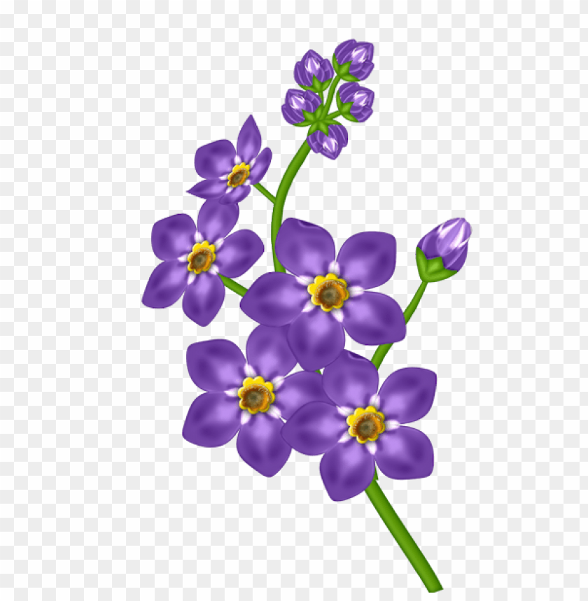 porple flower transparent