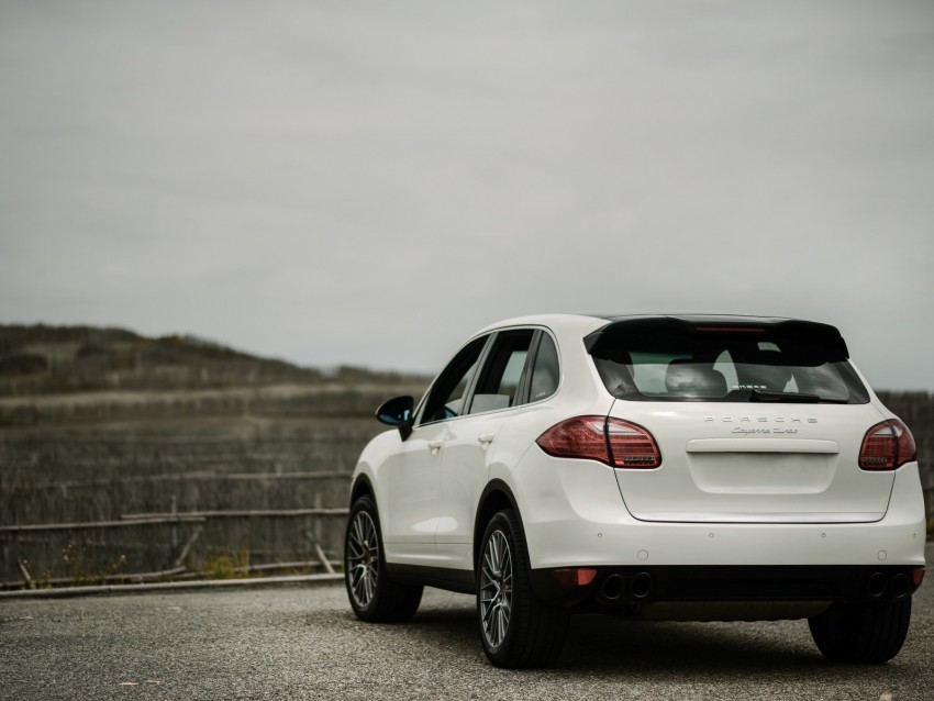 porsche cayenne, porsche, car, white, rear view, crossover