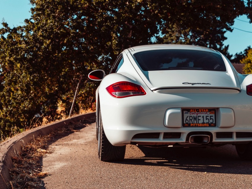 porsche cayman, porsche, car, sportscar, white, rear view