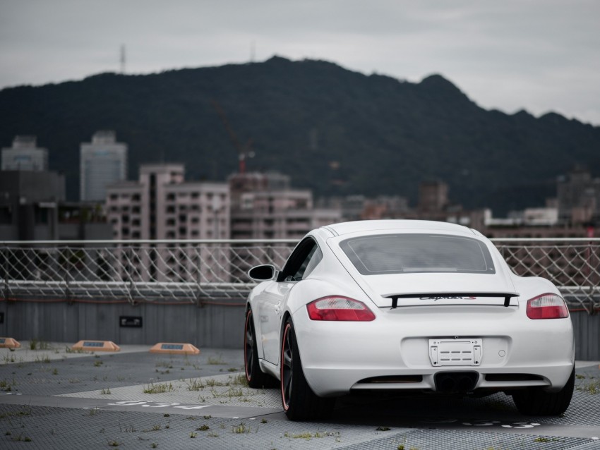 porsche cayman s, porsche, car, sports car, white, rear view