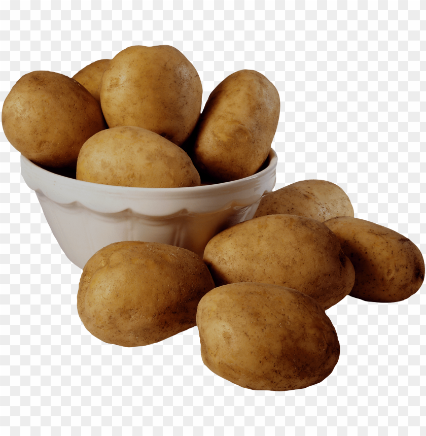 
potato
, 
tuberous crop
, 
plant
, 
food
, 
calories
