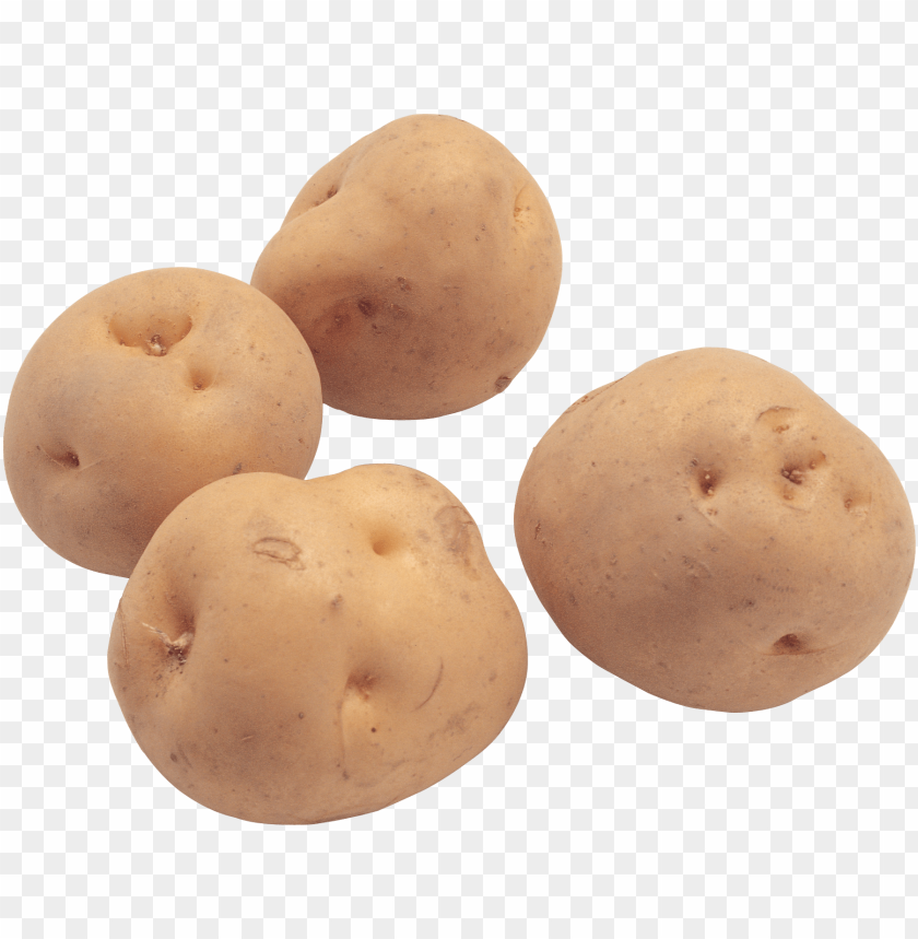 
potato
, 
tuberous crop
, 
plant
, 
food
, 
calories
