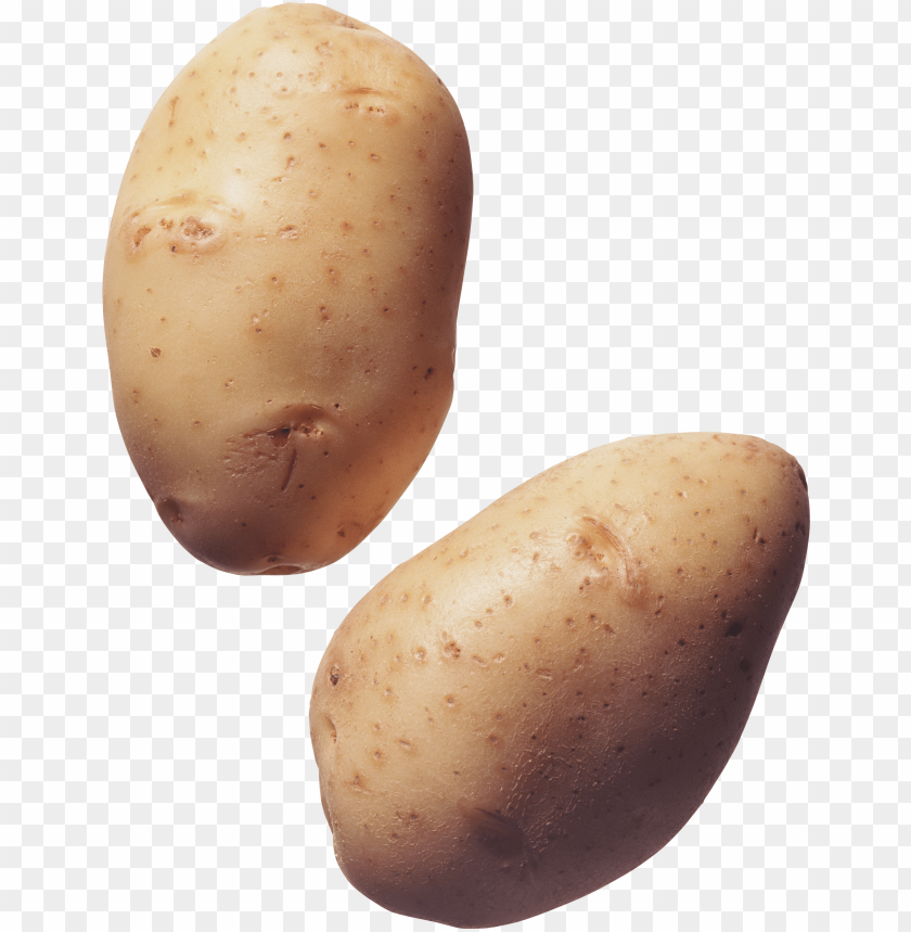 
potato
, 
tuberous crop
, 
plant
, 
food
, 
calories
