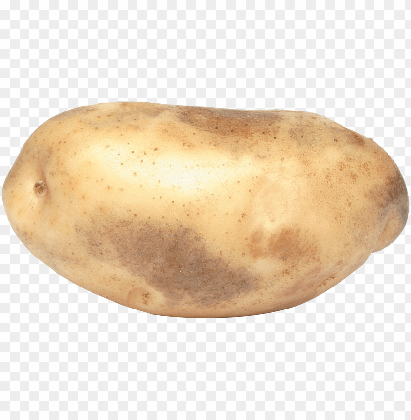 
potato
, 
tuberous crop
, 
plant
, 
food
, 
calories
