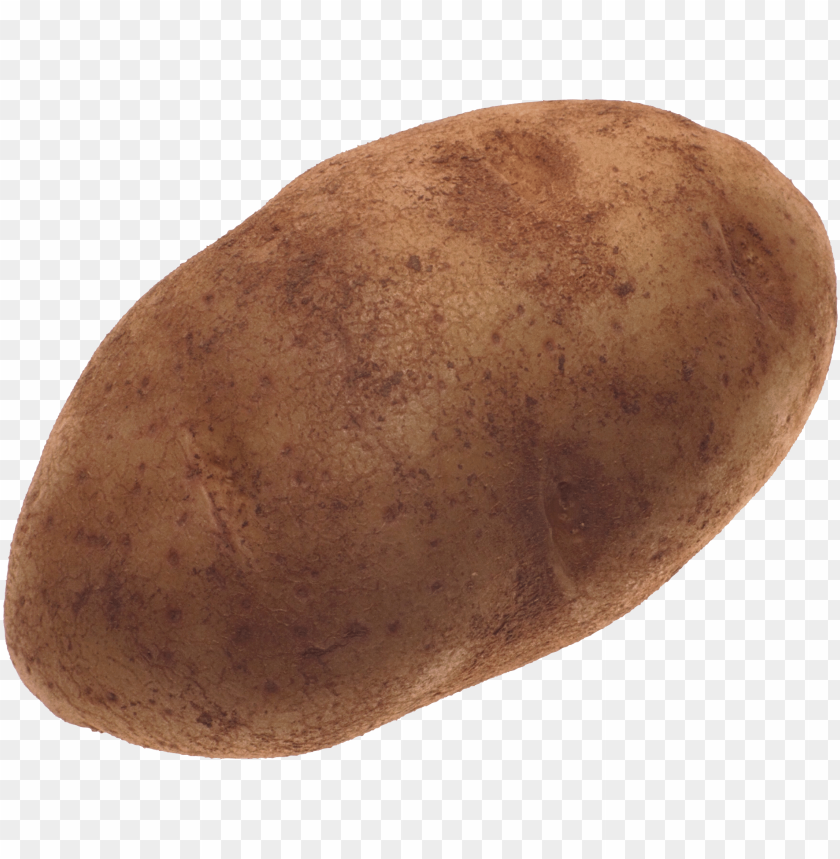 
potato
, 
tuberous crop
, 
plant
, 
food
, 
calories
