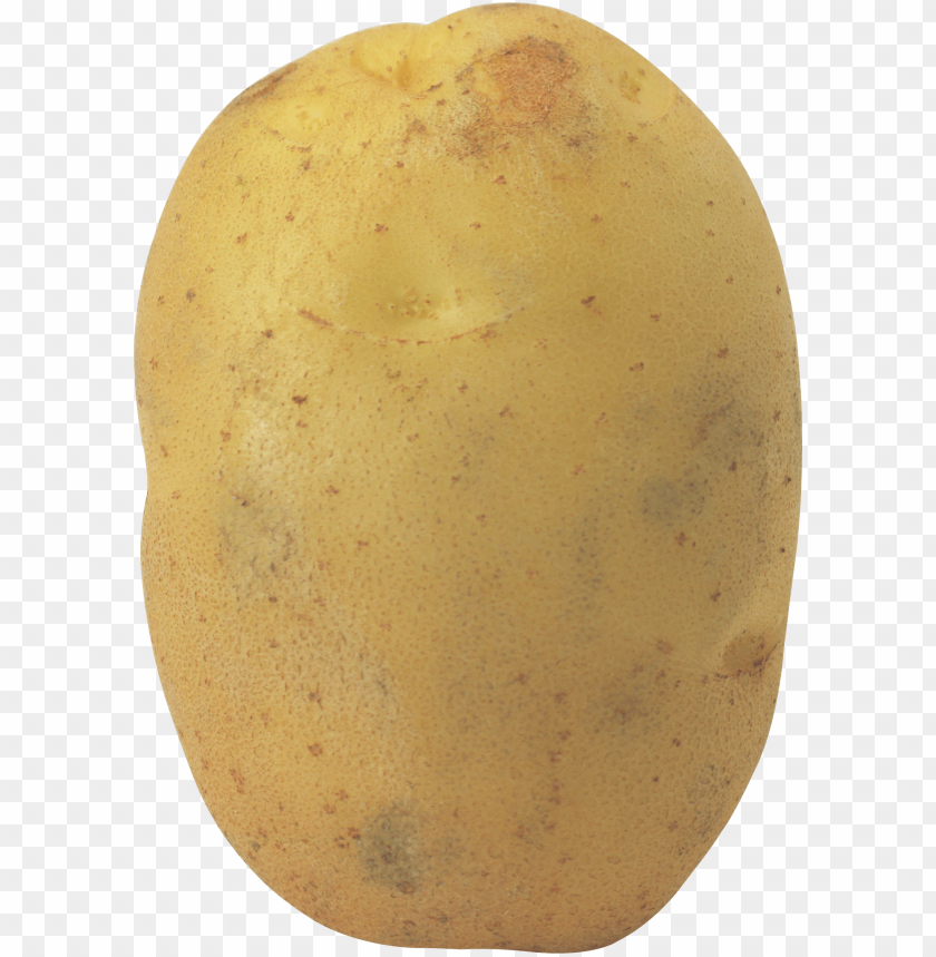 
potato
, 
tuberous crop
, 
plant
, 
food
, 
calories
