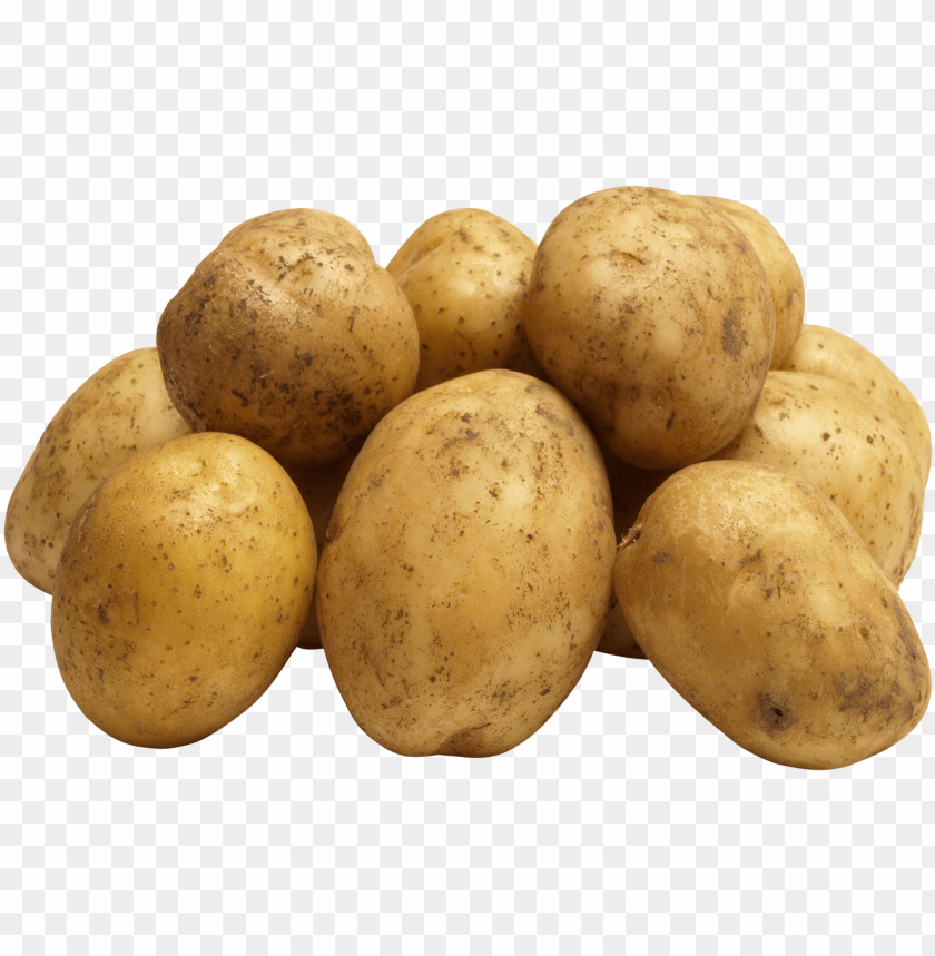 
potato
, 
tuberous crop
, 
plant
, 
food
, 
calories
