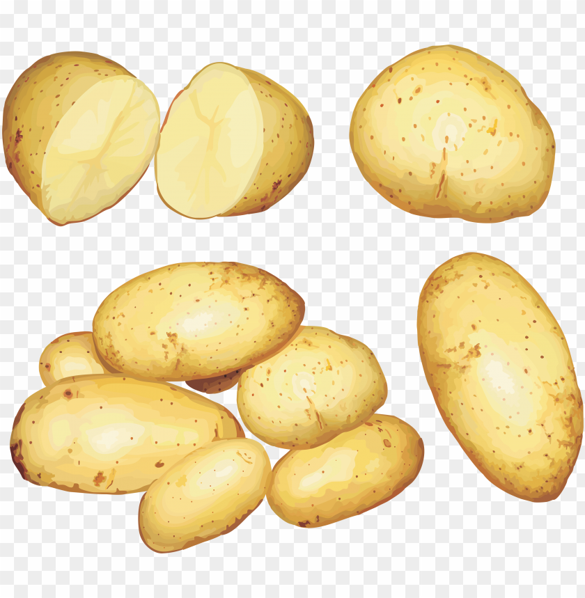 
potato
, 
tuberous crop
, 
plant
, 
food
, 
calories
