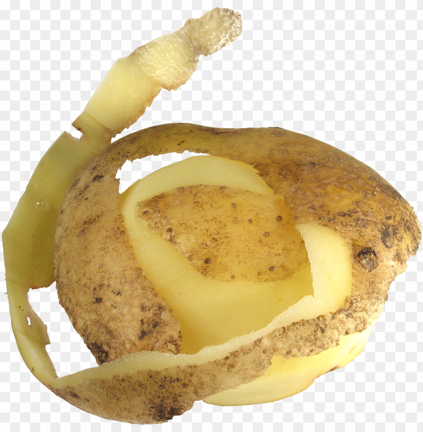 
potato
, 
tuberous crop
, 
plant
, 
food
, 
calories
