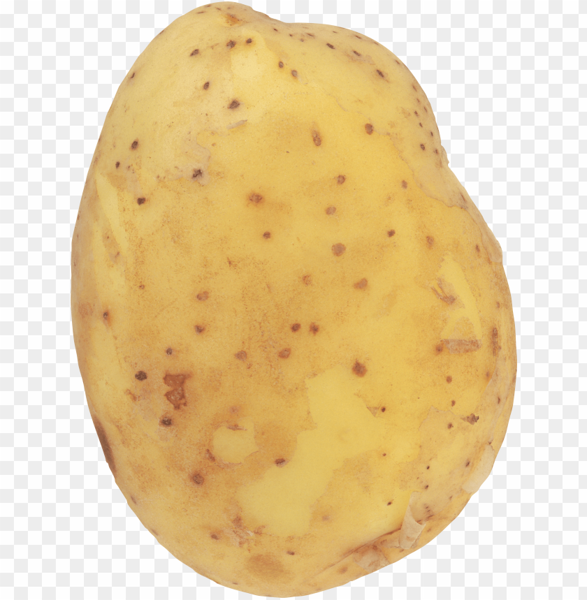 
potato
, 
tuberous crop
, 
plant
, 
food
, 
calories
