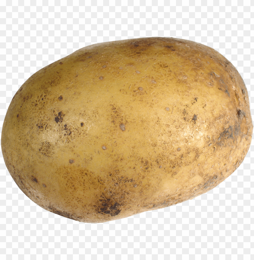 
potato
, 
tuberous crop
, 
plant
, 
food
, 
calories
